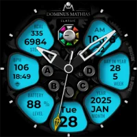 DM135 Sophisticated Watch Face